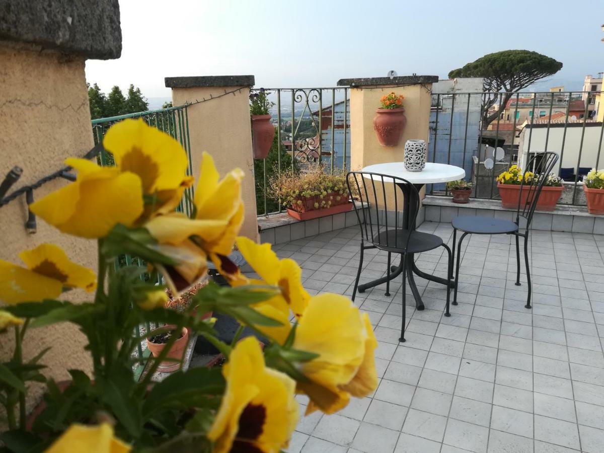 B&B Buonfiglio Cicconcelli - Terrazza Panoramica 프라스카티 외부 사진